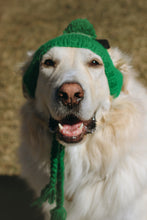 Load image into Gallery viewer, St. Paddy&#39;s Day Knitted Doggie Hat

