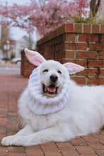 Load image into Gallery viewer, Spring Bunny Snood
