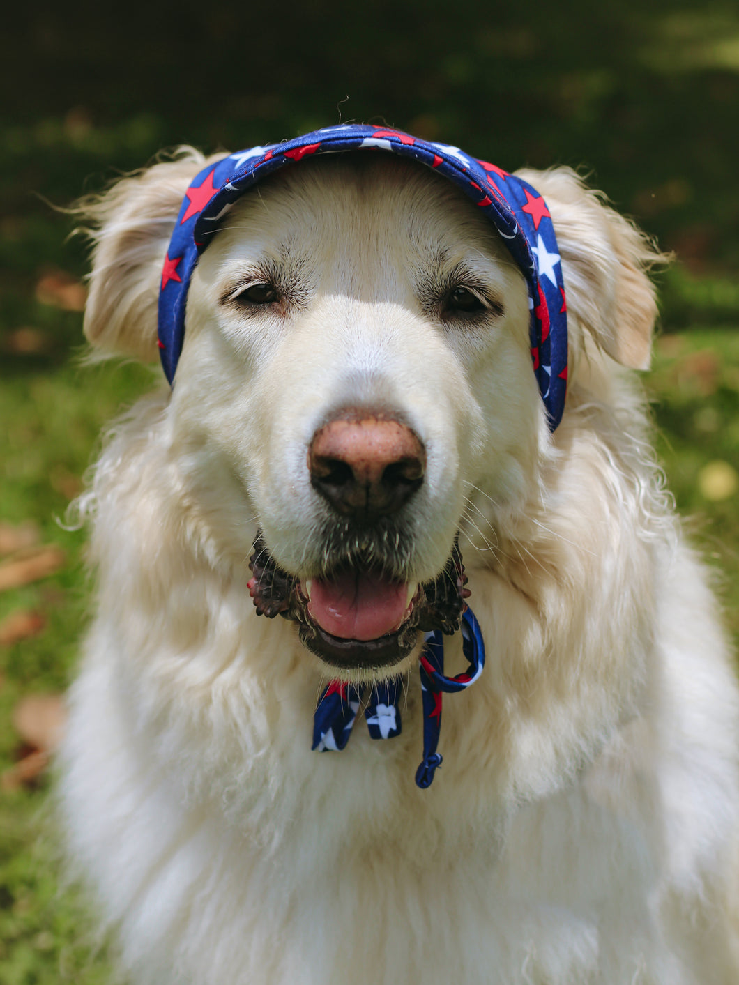 Americana Jersey Knit Doggie Hat