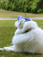 Load image into Gallery viewer, Americana Minky Doggie Hat
