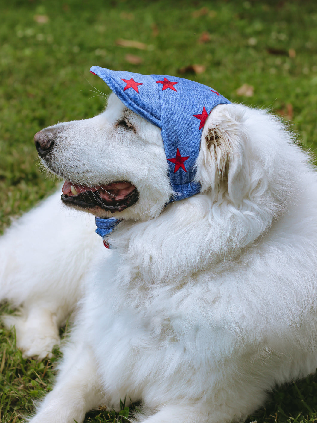 Americana Minky Doggie Hat