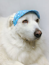 Load image into Gallery viewer, Woof &amp; Paws Summer Dog Hat
