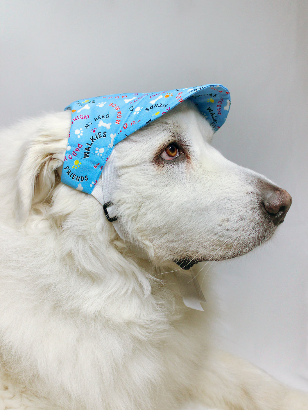 Woof & Paws Summer Dog Hat
