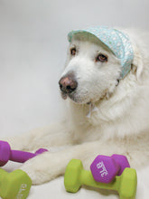 Load image into Gallery viewer, Bear Woods Summer Dog Hat
