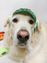 Load image into Gallery viewer, Happy Camper Summer Dog Hat
