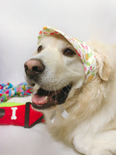 Load image into Gallery viewer, Piña Colada Summer Dog Hat
