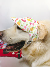 Load image into Gallery viewer, Piña Colada Summer Dog Hat
