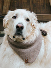 Load image into Gallery viewer, Andean Highland Human/Dog Scarf Set
