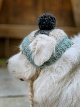 Load image into Gallery viewer, Blue Moon Dog Hat
